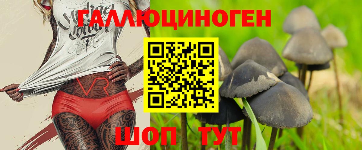 Псилоцибиновые грибы ЛСД  Вход с VPN  Южноуральск 